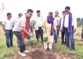 Minister urges tree plantation on special occasions to combat global warming