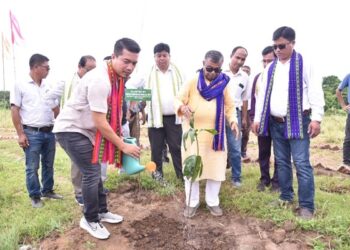 Minister urges tree plantation on special occasions to combat global warming