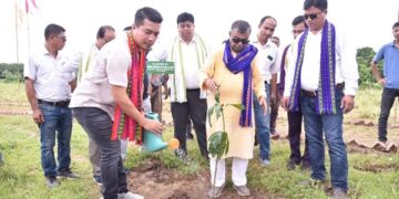 Minister urges tree plantation on special occasions to combat global warming