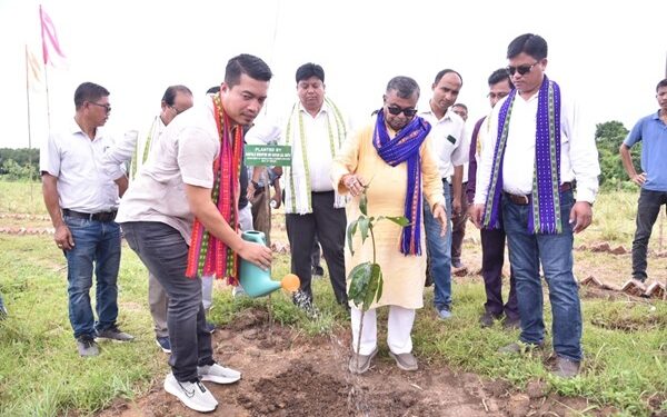 Minister urges tree plantation on special occasions to combat global warming