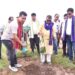 Minister urges tree plantation on special occasions to combat global warming