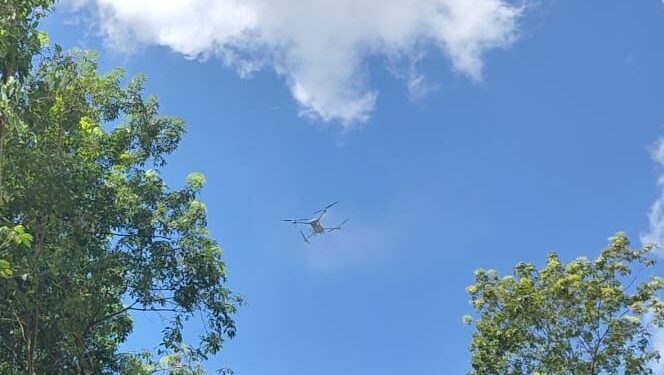 Tripura Uses Drones for First Time to Combat Rubber Plantation Fungus Outbreak