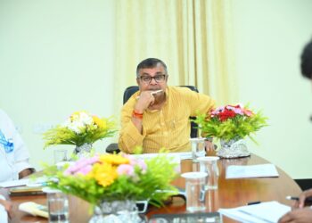 Tripura reserves extra 40 MW to meet Durga Puja power demand