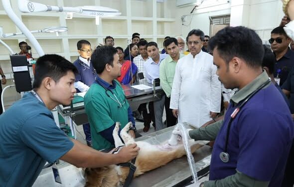 CM calls for developing veterinary college into a national model institution