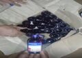 Major Melaghar bust: ₹15L cash, 600 Eskuf bottles recovered