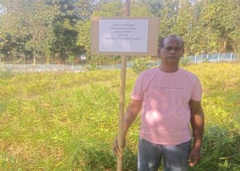 Champamura emerges as Tripura’s natural farming model village