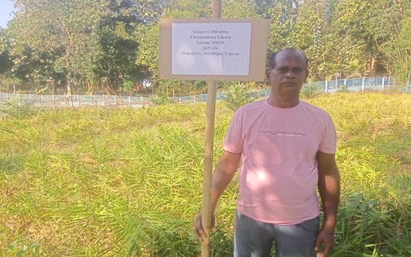 Champamura emerges as Tripura’s natural farming model village