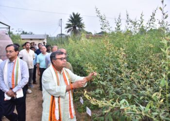 Tripura nears self-sufficiency in arhar, onion: Minister