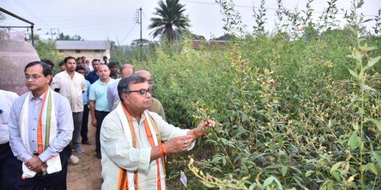 Tripura nears self-sufficiency in arhar, onion: Minister