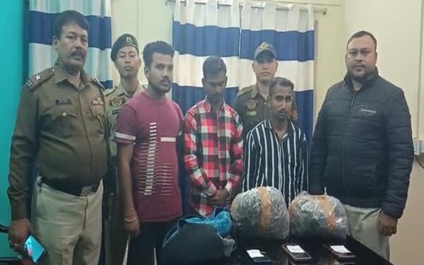 Three Held, 2.5 Kg Cannabis Seized in Pecharthal Raid