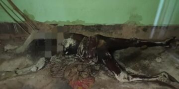 Dhalai Shocked as Human Skeleton Found in Office Premises