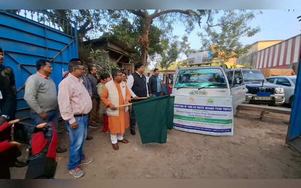 Tripura sends 1,000 kg organic white sesame to Gujarat