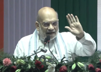 Don’t Politicise Language: Amit Shah