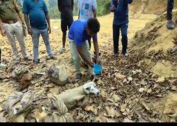 Indigenous Dogs Rescued in Mungiakami