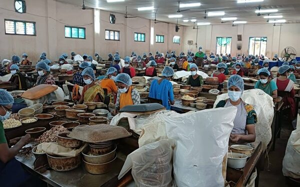 Rajnagar Team Visits Kollam Cashew Hub