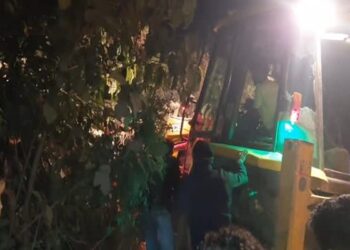 Speeding Truck Crashes Into House at Agriculture Chowmuhani, Elderly Woman Killed