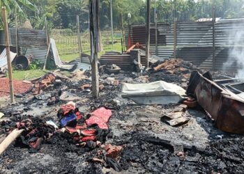 Violence erupts in Mangalkhali during protest