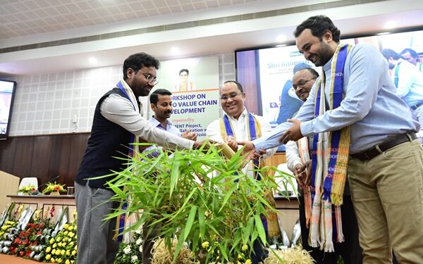 Tripura Govt Pushes Modern Bamboo Farming, Industry Boost