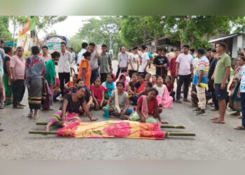 Elephant Trample Death Sparks Unrest in Tripura Ahead of ADC Polls