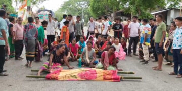 Elephant Trample Death Sparks Unrest in Tripura Ahead of ADC Polls
