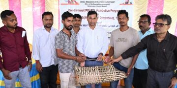 Piglet Distribution Scheme Boosts Rural Livelihoods