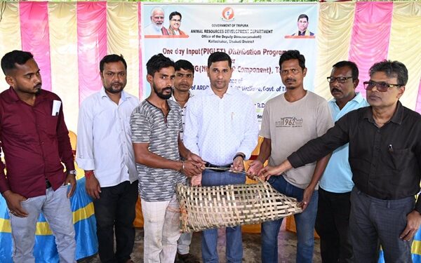 Piglet Distribution Scheme Boosts Rural Livelihoods