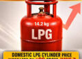 Domestic LPG Cylinder Price Raised by ₹29