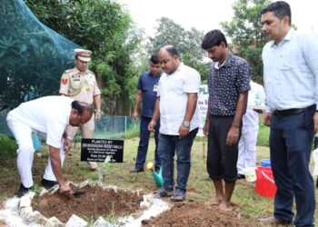 Governor Nallu marks World Environment Day with sapling