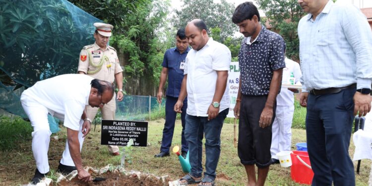 Governor Nallu marks World Environment Day with sapling