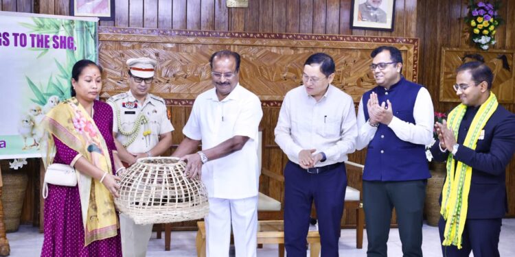Governor Distributes Ducklings, Chicks to SHG Members
