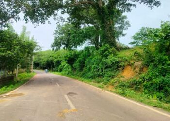 Stones, airgun fire target vehicles on NH-208
