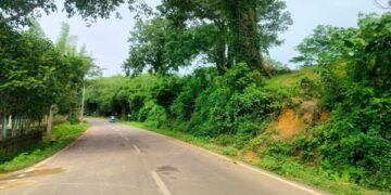 Stones, airgun fire target vehicles on NH-208