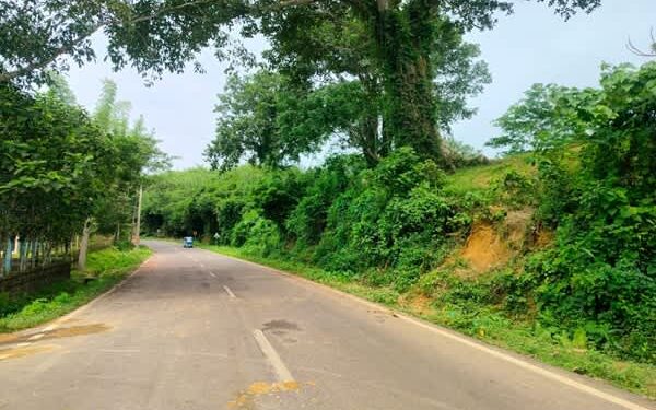Stones, airgun fire target vehicles on NH-208