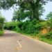 Stones, airgun fire target vehicles on NH-208