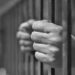 Five-Year Jail Term in Khowai Narcotics Case