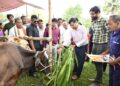 FMD Vaccination Drive Begins in Tripura