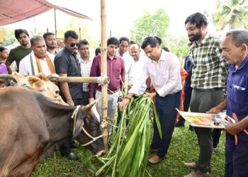 FMD Vaccination Drive Begins in Tripura