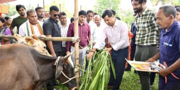 FMD Vaccination Drive Begins in Tripura