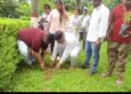 Rahul Gandhi Birthday Observance Turns into Statewide Green Mission