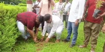 Rahul Gandhi Birthday Observance Turns into Statewide Green Mission