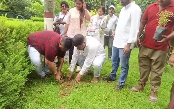 Rahul Gandhi Birthday Observance Turns into Statewide Green Mission