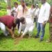 Rahul Gandhi Birthday Observance Turns into Statewide Green Mission