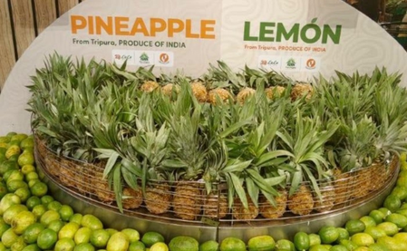 Tripura’s Queen pineapples score big in Dubai market