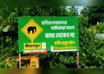 Tripura villagers seek solution to elephant menace
