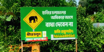 Tripura villagers seek solution to elephant menace