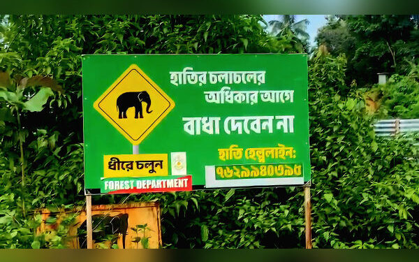 Tripura villagers seek solution to elephant menace