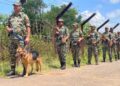 BSF Steps Up Vigilance Along Tripura-Bangladesh Border Ahead of 80th Independence Day