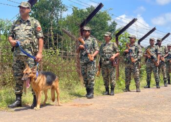 BSF Steps Up Vigilance Along Tripura-Bangladesh Border Ahead of 80th Independence Day