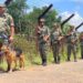 BSF Steps Up Vigilance Along Tripura-Bangladesh Border Ahead of 80th Independence Day
