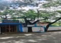 Inverted flag at Tripura Panchayat triggers outrage